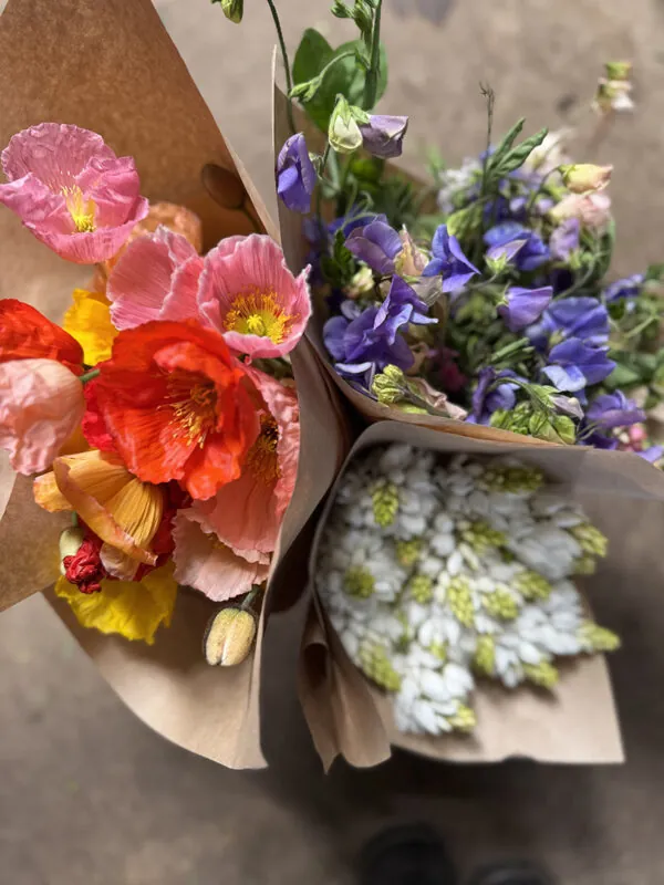 Duo/Trio of Summery flowers (2-3x bunches)